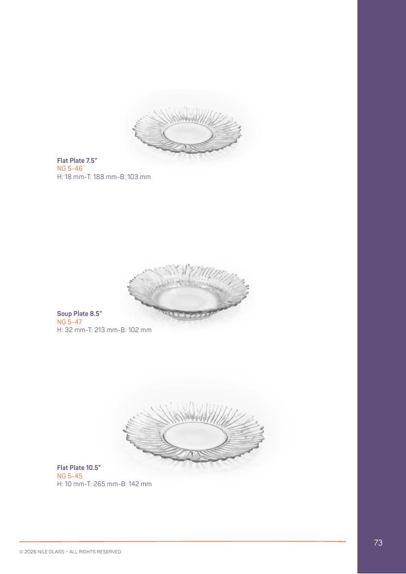 Flat Plate 10.5”